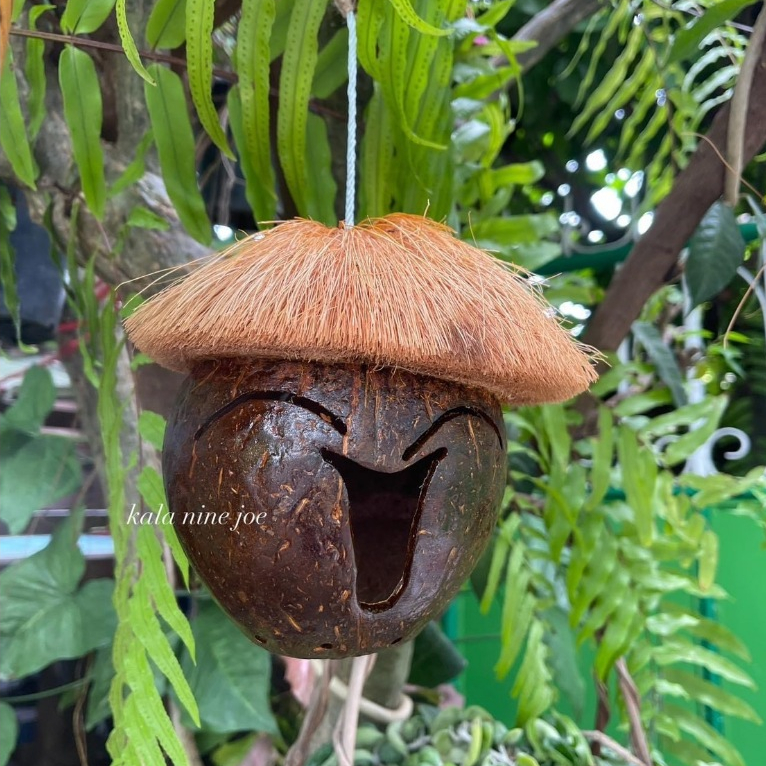 🥥 กะลาน้องกาโป๋ แต่งสวน แต่งบ้าน 🌴ให้นก หนูอยู่ได้ I กะลานายโจ้