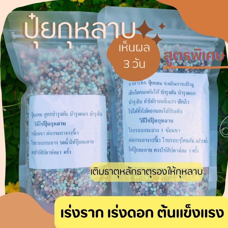 ปุ๋ยกุหลาบ สูตรพิเศษกระตุ้นแตกกิ่ง(200 กรัม)บำรุงต้นดอกใบและรากให้เดินดี ใช้ได้ทั้งไม้ดอกไม้ประดับไม