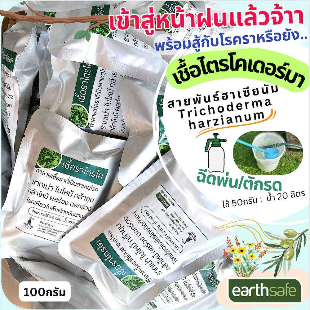 ไตรโคเดอร์มา สายพันธุ์ฮาเซียนัม Trichoderma harzianum "ตรารถไฟ" ผสมน้ำรดดิน/ฉีดพ่น 100g.