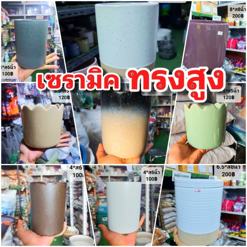 เซรามิค ทรงสูง // เจาะฟรี!!! กระถางเซรามิก ถ้วย ชาม กระถางบอนไซ