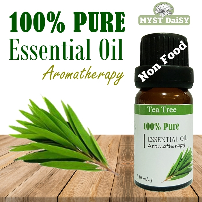 [10 mL.] 100% Pure Essential Oil น้ำมันหอมระเหยทีทรี (Tea Tree) บริสุทธิ์ 100%ไม่ผสม (ไม่ใช่กลิ่นสังเคราะห์)