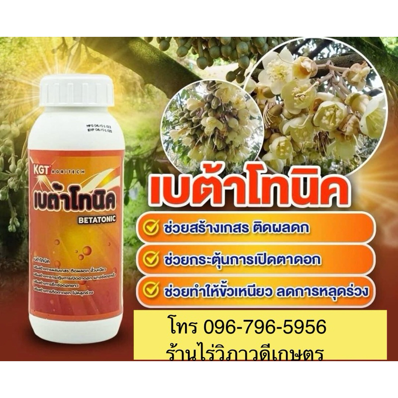 เบต้าโทนิค อะโทนิค ฮอร์โมน 500ซีซี