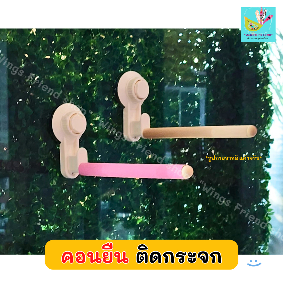 คอนยืนนก คอนนกติดกระกระจก สำหรับติดกระจกบ้าน กระจกคอนโด