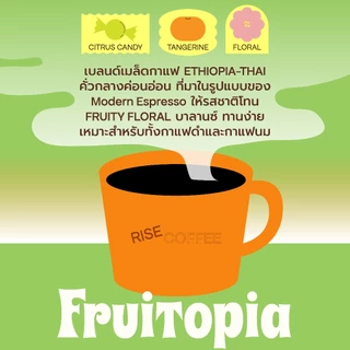 RISE COFFEE เมล็ดกาแฟคั่วกลางอ่อน Fruitopia ให้รสชาติโทน Fruity Floral จากเบลนด์ Ethiopia - Thai บาลานซ์ ทานง่าย