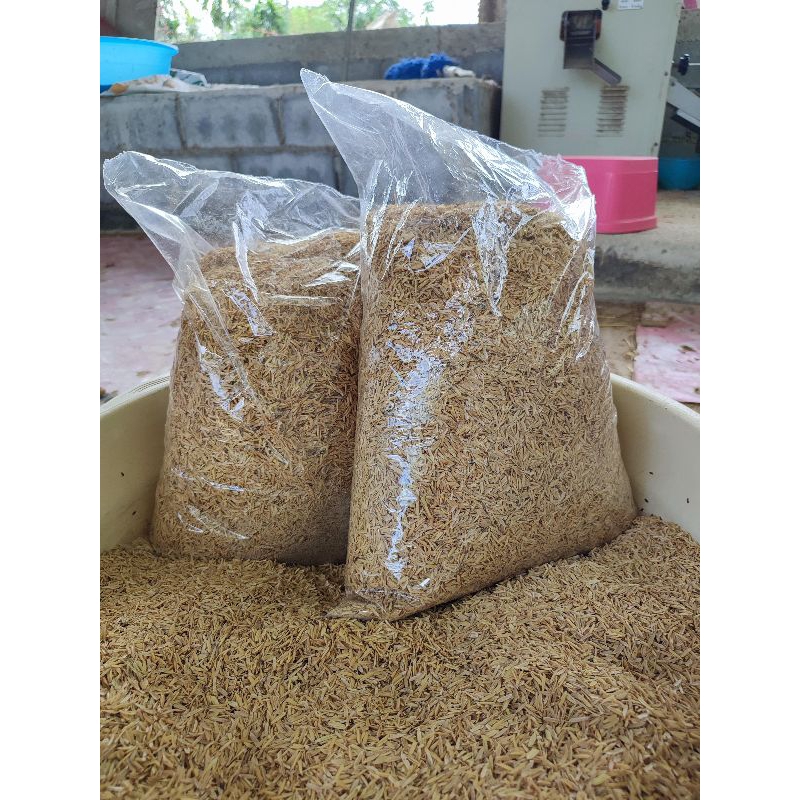 แกลบดิบ แกลบสด แกลบใหม่ราคาถูก 1 กิโล