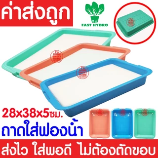 *โค้ดส่งฟรี* ถ้วยปลูกผัก 20/50/100ใบ ถ้วยขาวปลูกผัก ผไฮโดรโปนิกส์ ไฮโดร สลัด salad hydroponic hydro แบบใช้ซ้ำ MAXX