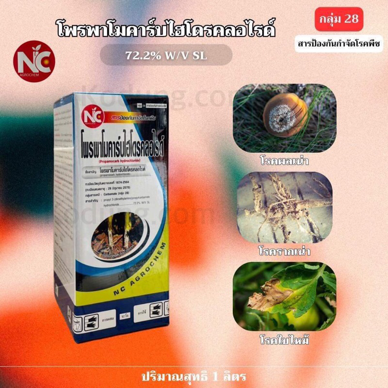 โพรพาโมคาร์บ ไฮโดรคลอไรด์ 72.2% SL สารป้องกันกำจัดโรคเน่าคอดิน เชื้อราไฟทอปธอร่า