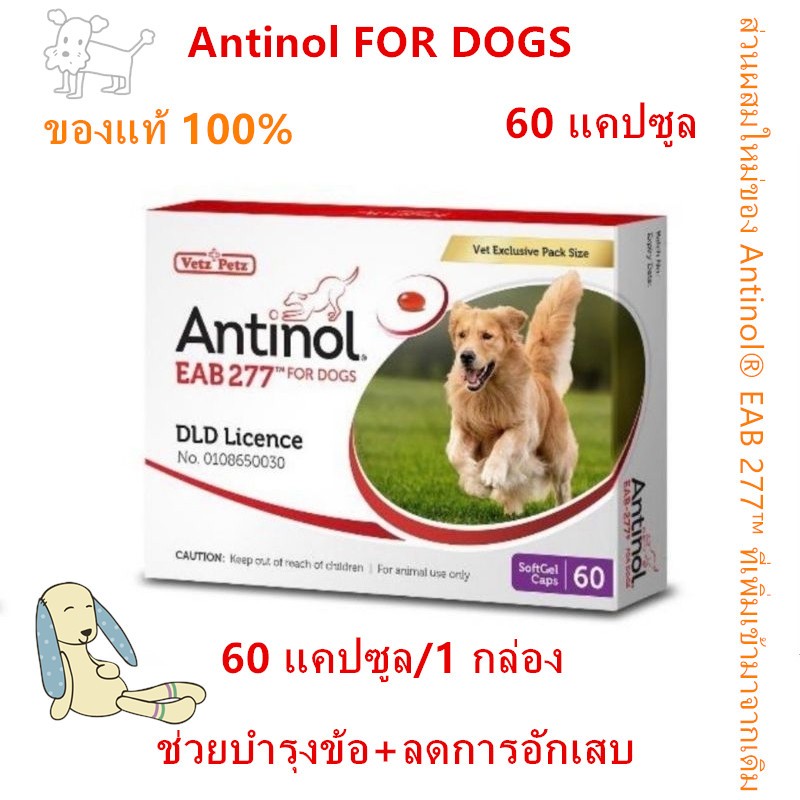 Antinol DOG ช่วยบำรุงข้อ กระดูก ขน ผิวหนัง และไต(1 กล่อง 60 caps) สำหรับสัตว์เลี้ยง EXP.08/2025