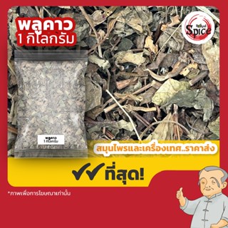 พลูคาว ผักคาว ขนาด 1 กิโลกรัม