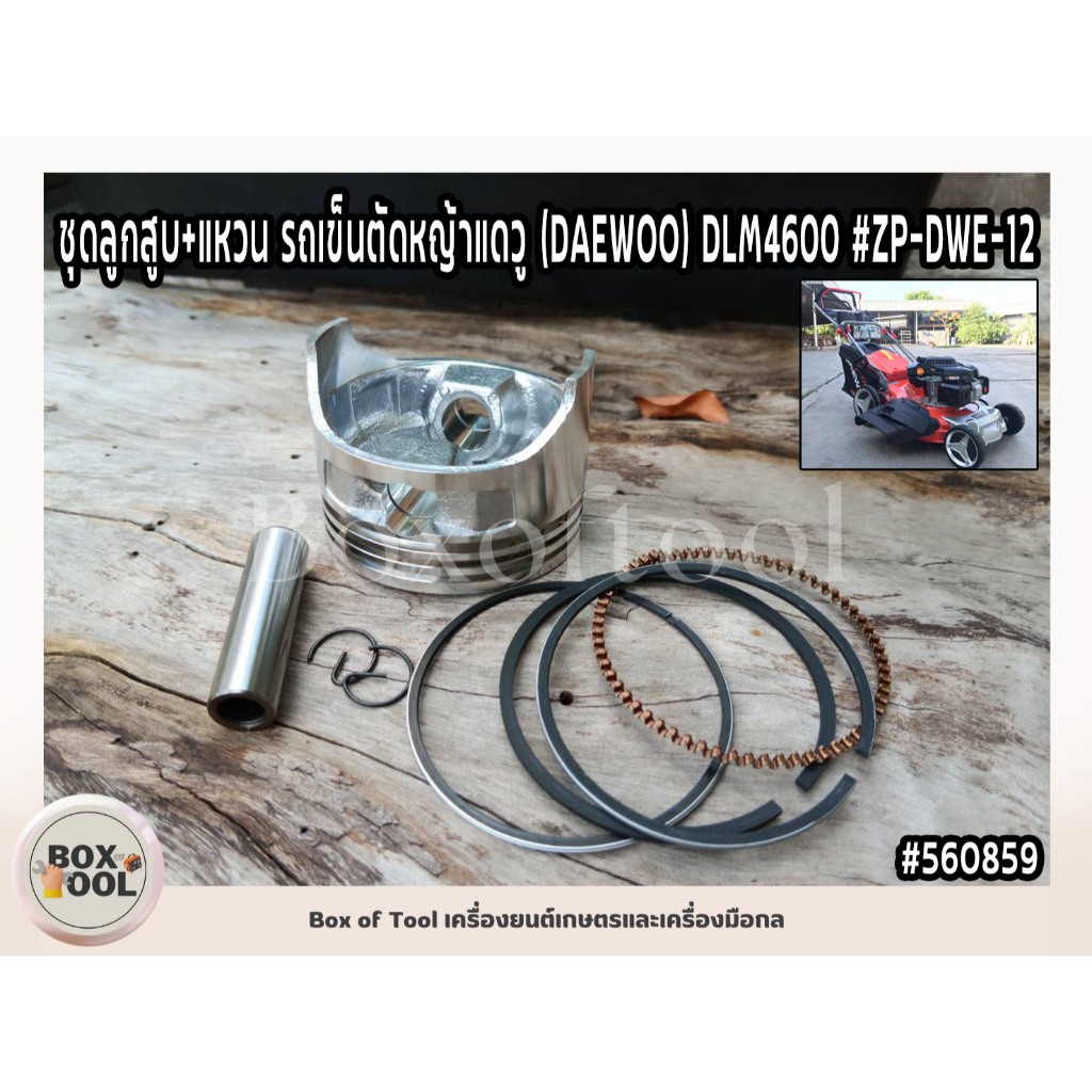 ชุดลูกสูบ+แหวน รถเข็นตัดหญ้าแดวู (DAEWOO) DLM4600 #ZP-DWE-12