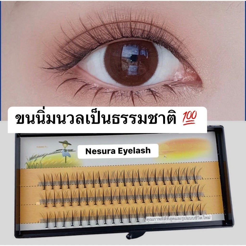 (สินค้าส่งจากไทย) ขนตาปลอม ขนตาบาร์บี้ 0.07 แบบช่อหางปลา เบอร์ 8-12mm. (สามารถเลือกเบอร์ได้)