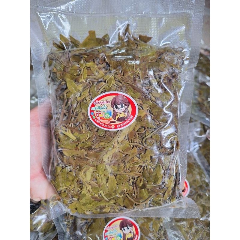ผักขี้เหล็กต้ม ยอดขี้เหล็กต้ม ( 500 กรัม ) แพคซีลสุญญากาศ
