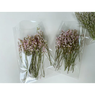ดอกไม้แห้ง แคสเปีย/สุ่ย🌿🌸