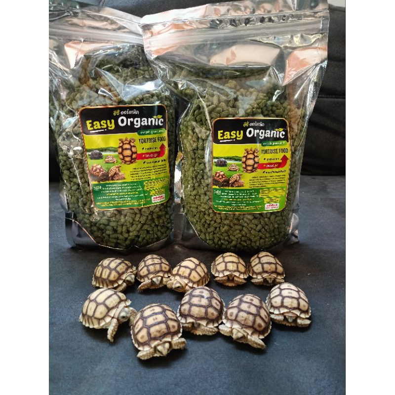 อาหารเต่าeasy organicวิตมินเยอะ