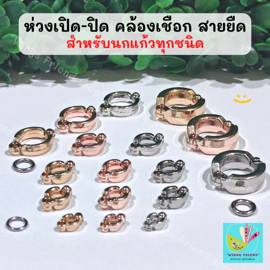 ห่วงเปิด พร้อมห่วงล็อค สำหรับนกแก้วทุกชนิด คล้องสายจูง สายยืด เชือก พร้อมส่ง
