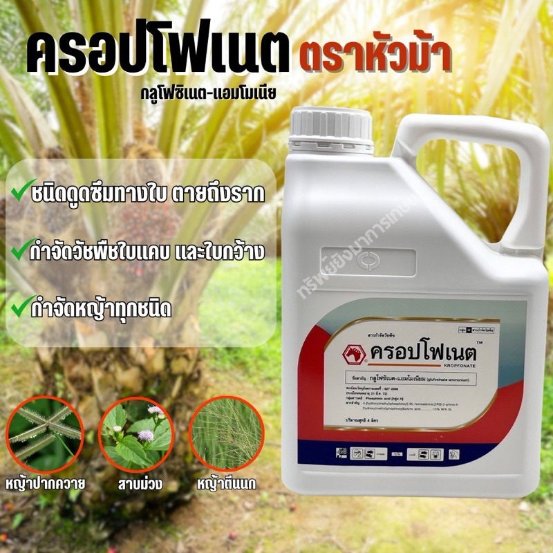 ครอปโฟเนต กลูโฟซิเนต-แอมโมเนียม 4 ลิตร ตราหัวม้า กำจัดวัชพืชประเภทใบแคบและใบกว้าง เผาไหม้ รุ่นใหม่