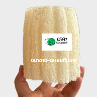 บวบท่อน ใยบวบขัดผิว ใยหนา ขนาด3-4นิ้ว