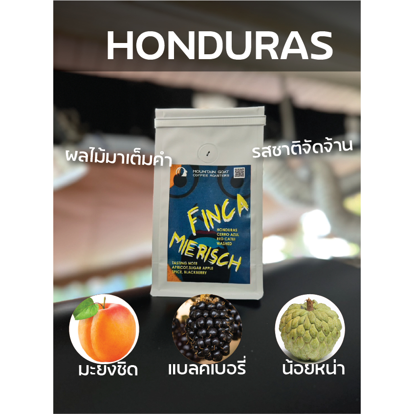 Honduras FINCA Mierisch