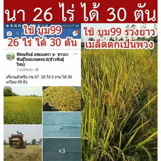 ปุ๋ยน้ำกระตุ้นผลผลิต บูม99 (ร้านใหม่) ขนาด 1 ลิตร แถมเสื้อ+ผงดำ ✨ส่งฟรีทุกชุด‼️