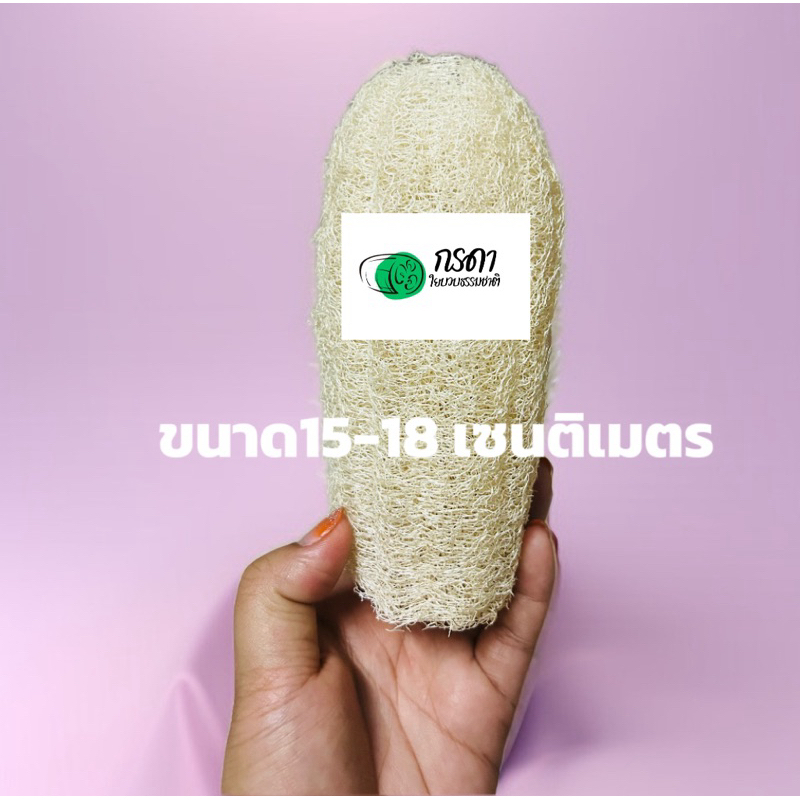 บวบท่อน ยาว6นิ้ว ใยหนา ใยบวบขัดผิว
