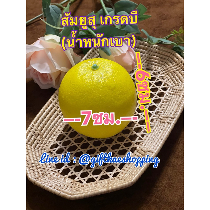 ส้มยูสุปลอม โมดลส้มยูสุ เกรดบี โมเดลผลไม้ ผลไม้ปลอม