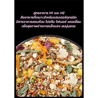 Hambit. อาหารแฮมเตอร์ H1 H2 อาหารสัตว์ฟันแทะทุกชนิด เกรดดีมาก