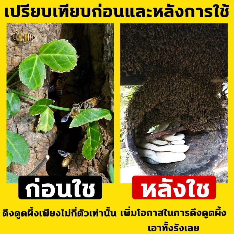 🐝ผึ้งมาทันที🐝เก็บผึ้งทั้งฝูง หัวเชื้อล่อผึ้ง ใช้ดีกว่าไขผึ้ง ฟีโรโมนล่อผึ้ง สูตรเข้มข้น ฟีโลโมน ล่อผึ้งไขผึ้งธรรมชาติ - รูปที่ 4