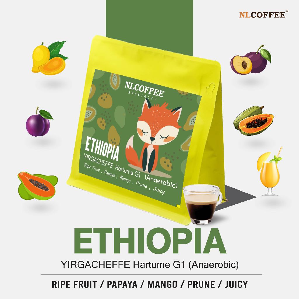 NLCOFFEE SPECIALTY เมล็ดกาแฟ Ethiopia : Yirgacheffe Hartume (Anaerobic Natural) 200g