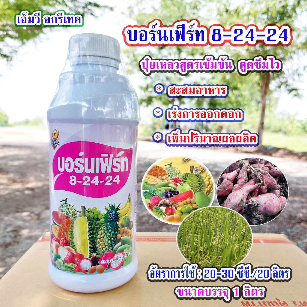 บอร์นเฟิร์ท 8-24-24 ปุ๋ยเคมีน้ำ สะสมอาหาร เร่งการออกดอก เพิ่มผลผลิต ขนาด 1 ลิตร