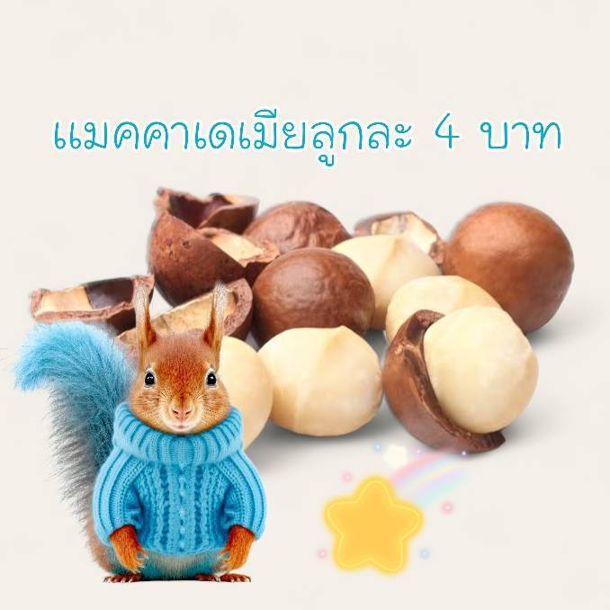 🌰แมคคาเดเมียอบเนย ลูกละ อุดมไปด้วยประโยชน์ ไขมันดี วิตามินเเร่ธาตุ เเคลเซี่ยม หอมอ่อนๆ แบบมีเปลือกสำหรับกระรอก