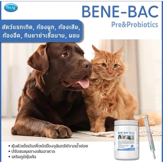 Benebac Plus Gel 30g ช่วยย่อย เสริมภูมิ สุนัข แมว กระต่าย พรี+โพรไบโอติก