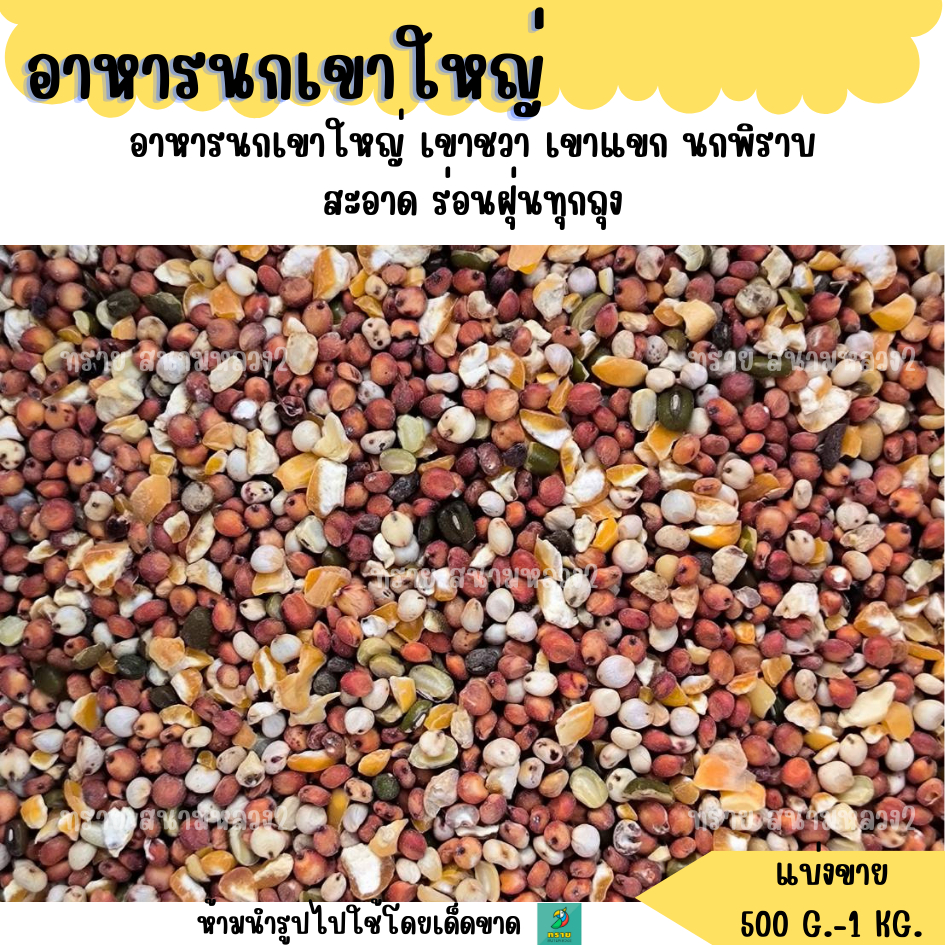 อาหารนกเขาใหญ่ เขาชวา เขาแขก นกพิราบ (แบ่งขาย 500 G-1 KG.)