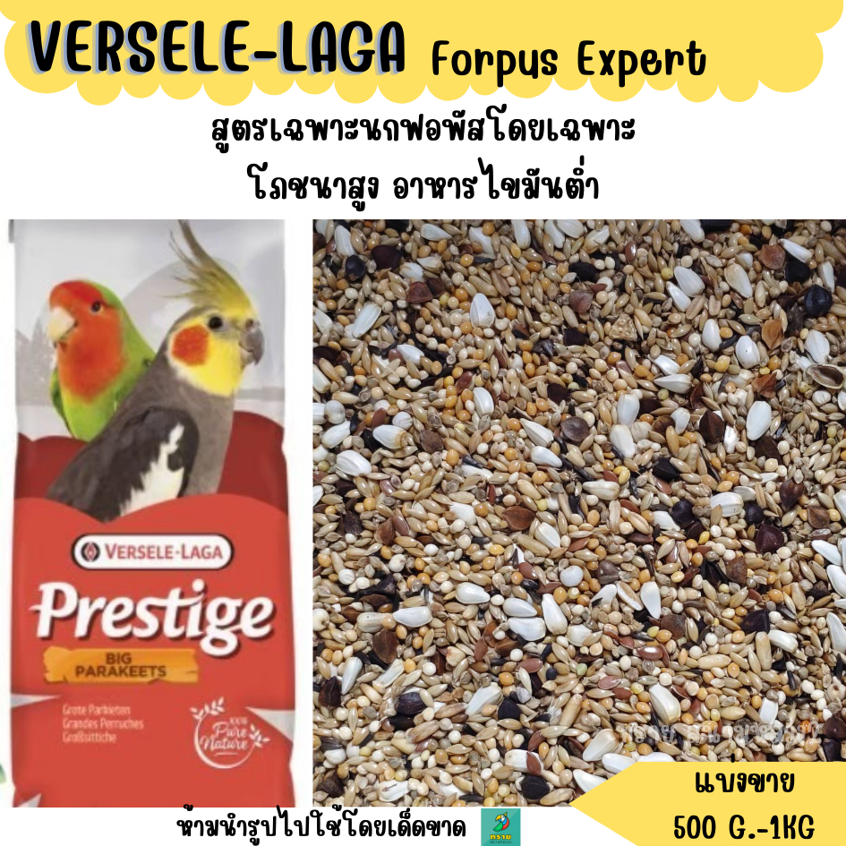 VERSELE-LAGA Forpus Expert ( แบ่งขาย 200 - 500 G.) อาหารนกไขมันต่ำ สูตรเฉพาะนกฟอพัสโดยเฉพาะ