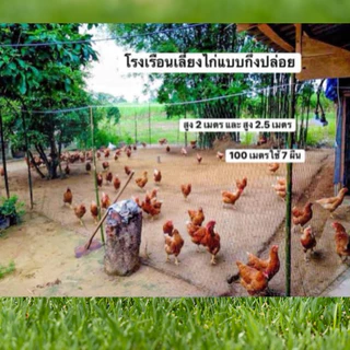 ตาข่ายกันนก อวนล้อมไก่ ตาข่ายล้อมไก่ ตาข่ายอเนกประสงค์ กรงไก่ ตาข่ายกันนก กันแมว