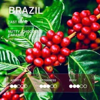 aicoffeeroaster | เมล็ดกาแฟบราซิล Brazil ขนาด 250กรัม,500กรัม