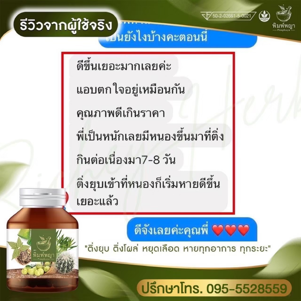 1 แถม 1 (ส่งฟรี ) ริชชี่พิมพ์พญา ริดสีดวงทุกระยะ พิมพ์พญาสมุนไพรริดสีดวง 1 กระปุก 30 แคปซูล พร้อมส่ง - รูปที่ 6