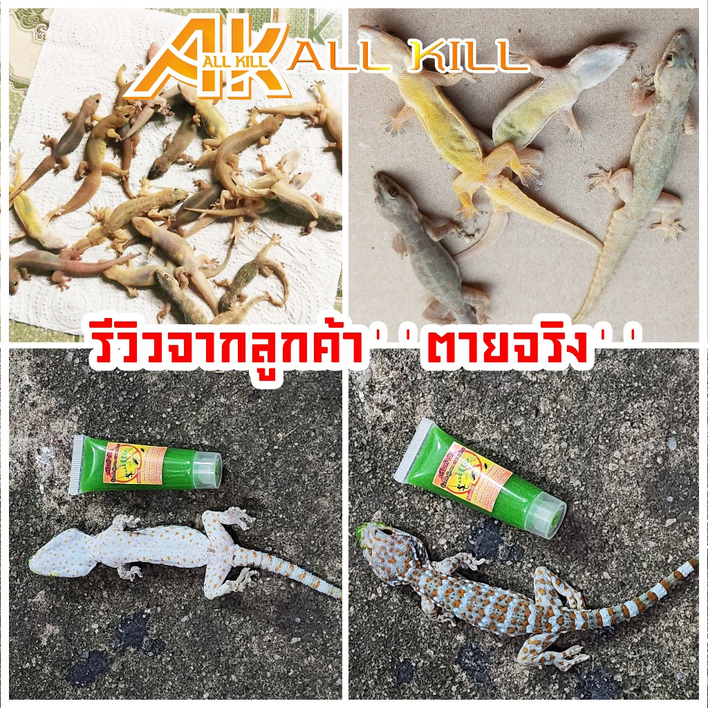 ครีมกำจัด จิ้งจก ตุ๊กแก  แมลงสาบ แมลงวัน  ไม่เหม็น ไม่เน่าตามซอก ขนาด 10 ML - 2