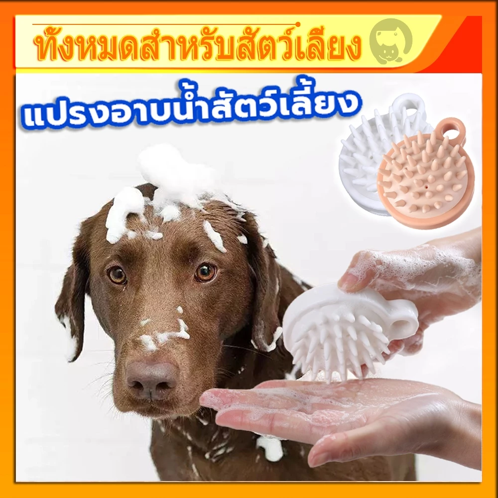 🐶พร้อมส่งจ้า😸 แปรงอาบน้ำสัตว์เลี้ยง เลี้ยงสปานวดแปรงนุ่มซิลิโคนสุนัขแมวอาบน้ำผมกรูมมิ่งสุนัขทำความสะอาดเครื่องมือ COD