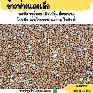 ฟ่างแดงเล็ก (แบ่งขาย 200-500 G.) อาหารนกขนาดเล็ก อาหารแฮมเตอร์