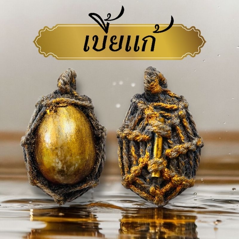 เบี้ยแก้ หอยเบี้ยแก้ พกติดตัวบูชามีแต่ปังของแท้เบี้ยแก้หอยเบี้ยแก้