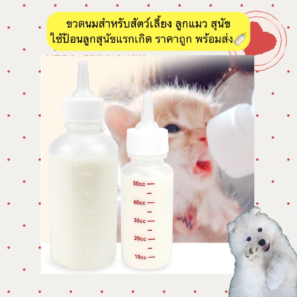 AL-1206 ขวดนมสำหรับสัตว์เลี้ยง ลูกแมว และสุนัข ใช้ป้อนลูกสุนัขแรกเกิด ราคาถูก พร้อมส่ง🍼