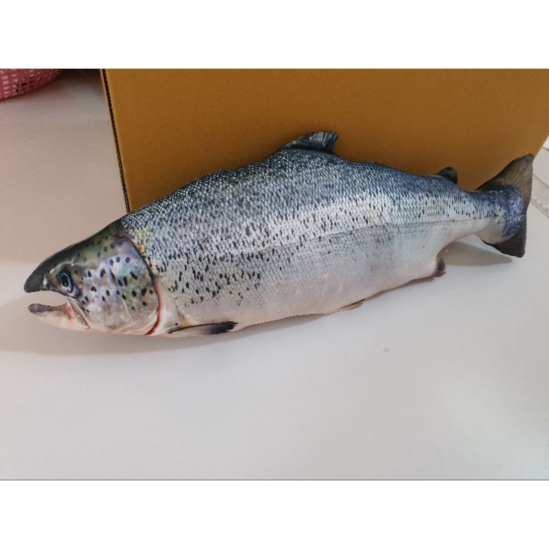 หมอนพิมพ์ลายปลาแซลมอนเทร้า ขนาด 50ซม หมอนของขวัญ ของฝาก หมอนอาหาร หมอนพิมพ์ลายอาหาร