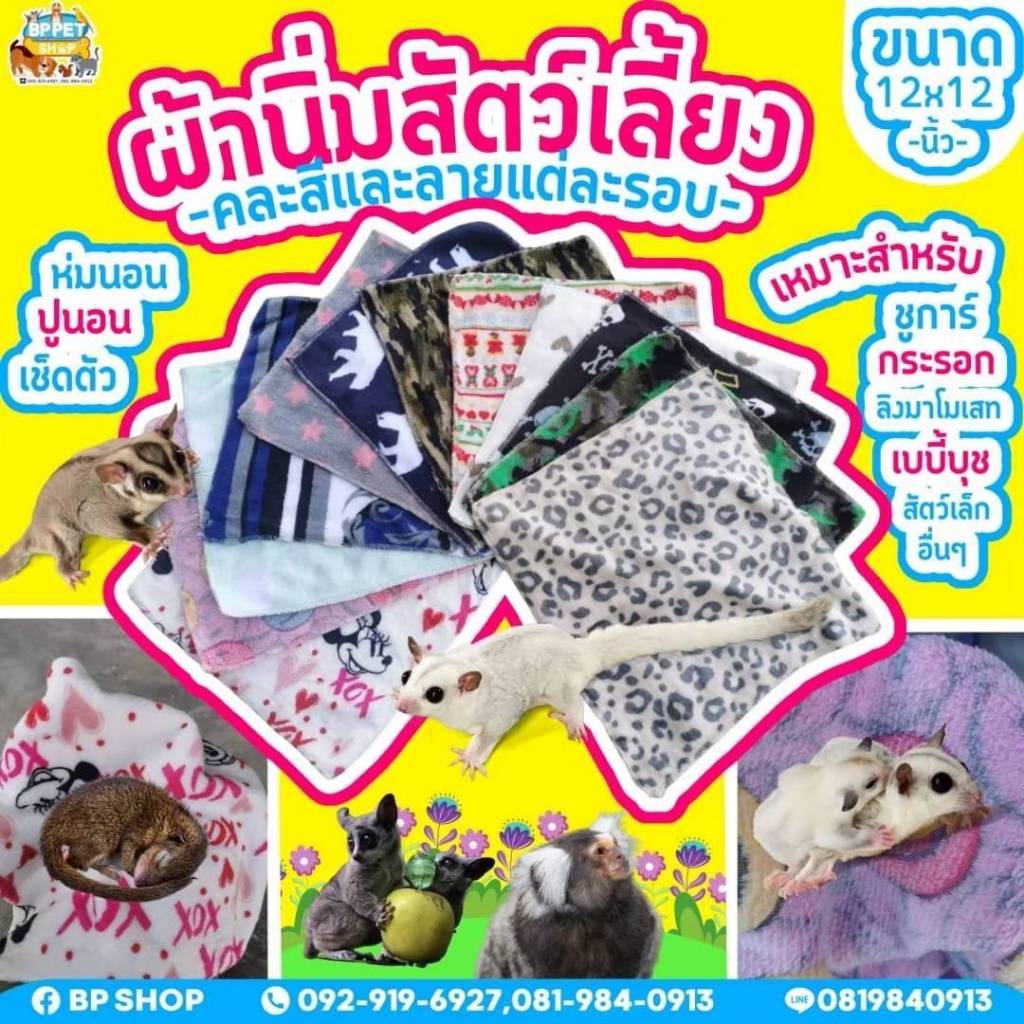ผ้าสัตว์เลี้ยง ผ้าซุกชูก้าร์ กระรอก บุชเบบี้ ผ้านาโนสัตว์เลี้ยง ที่นอนสัตว์เลี้ยง (BP)