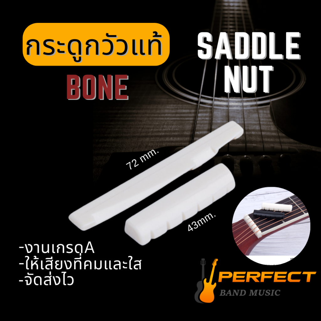Nut & Saddle นัท-หย่อง กระดูก