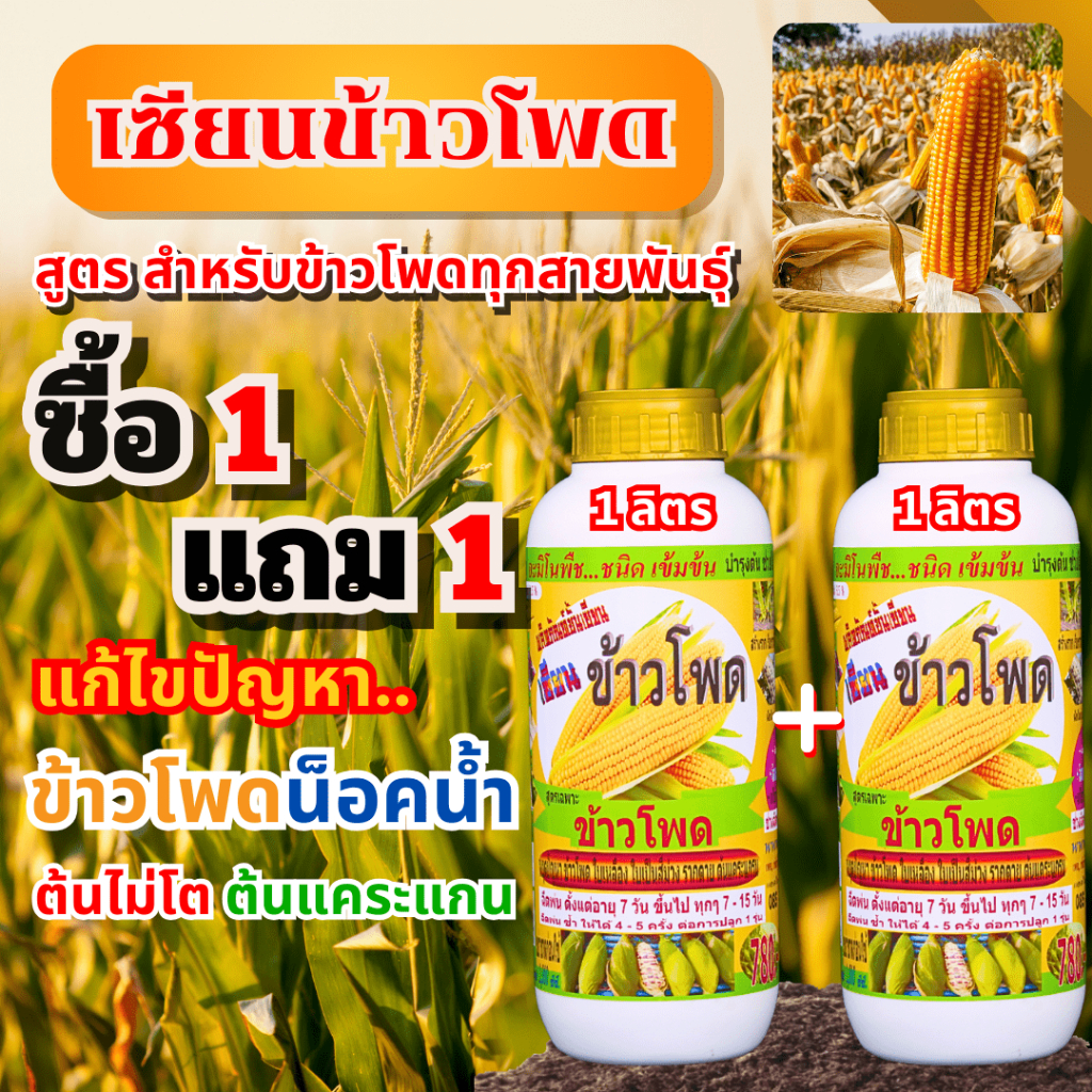 เซียนข้าวโพด 1 ลิตร แถม 1 ลิตร ฉีดพ่นทางใบ บำรุงต้นโตไว ต้นสูงใหญ่โตสม่ำเสมอ