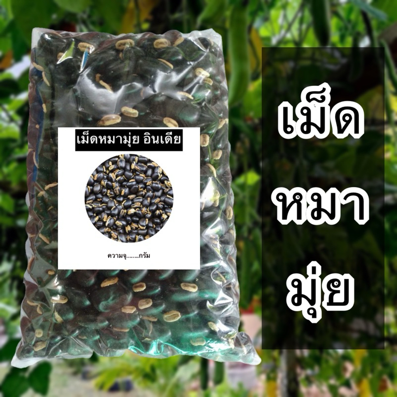 หมามุ่ย หมามุ่ยอินเดีย (ขนาด 1กิโล) มี2สี ขวา-ดำ เม็ดหมามุ่ย เมล็ดหมามุ่ย
