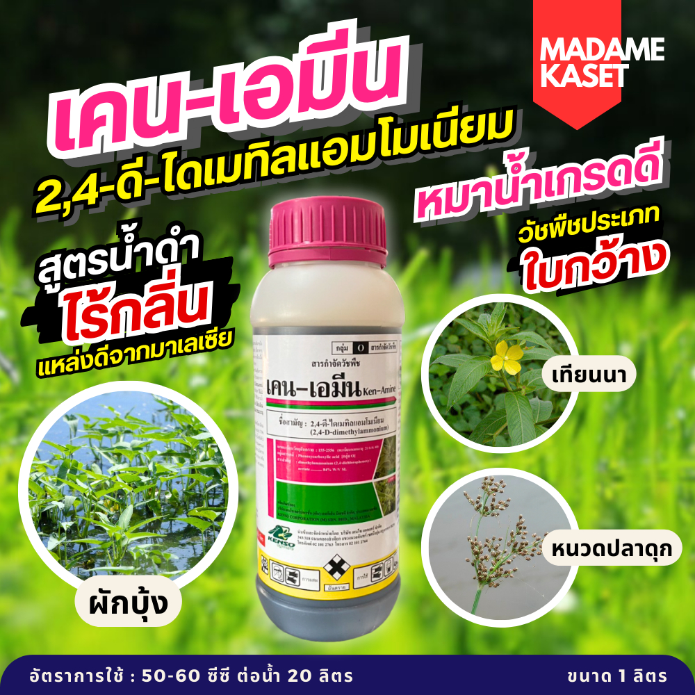 เคน-เอมีน (2,4-ดี-ไดเมทิลแอมโมเนียม) ทูโฟดีน้ำ กำจัดวัชพืชประเภทใบกว้าง ไร้กลิ่น เกรดดีแหล่งมาเลเซีย (1 ลิตร)