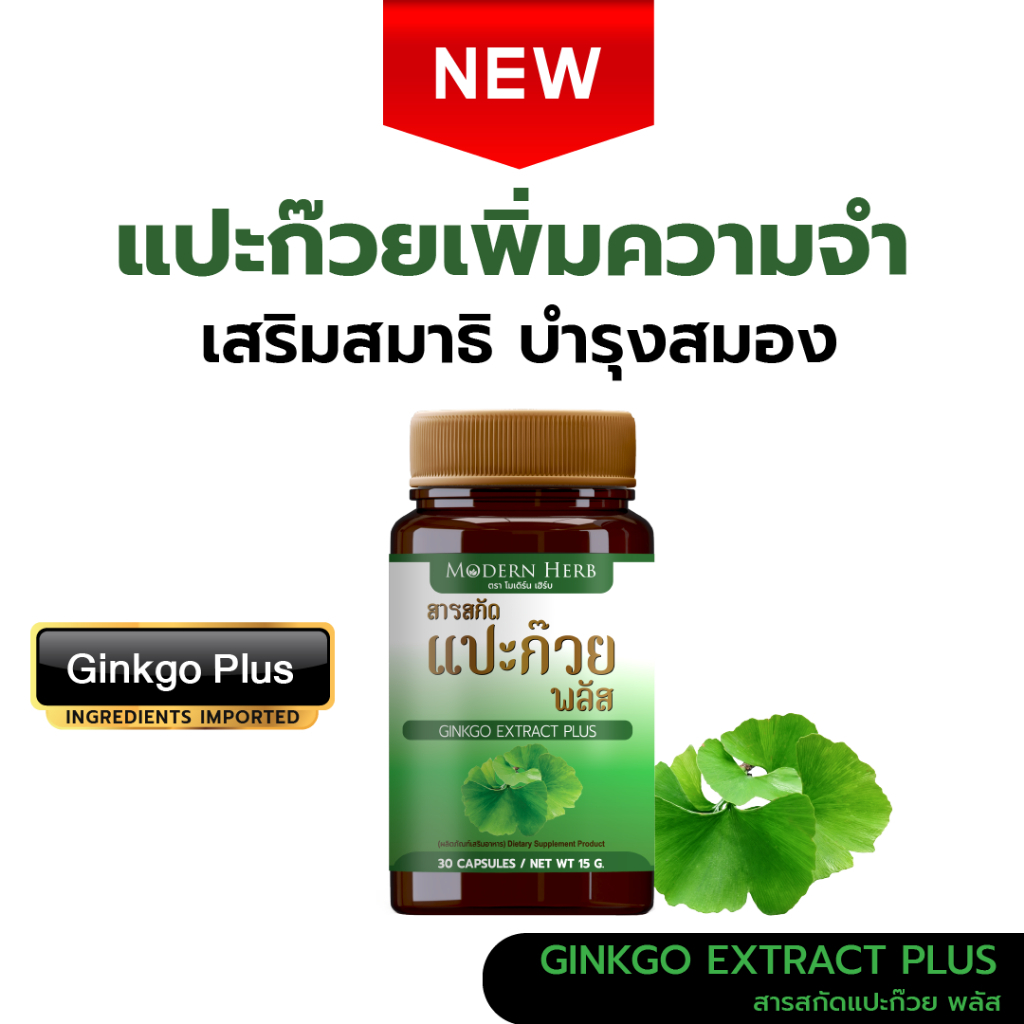 Ginkgo Extract Plus สารสกัดแปะก๊วย ตรา โมเดิร์น เฮิร์บ เพิ่มความจำ เสริมสมาธิ บำรุงสมอง