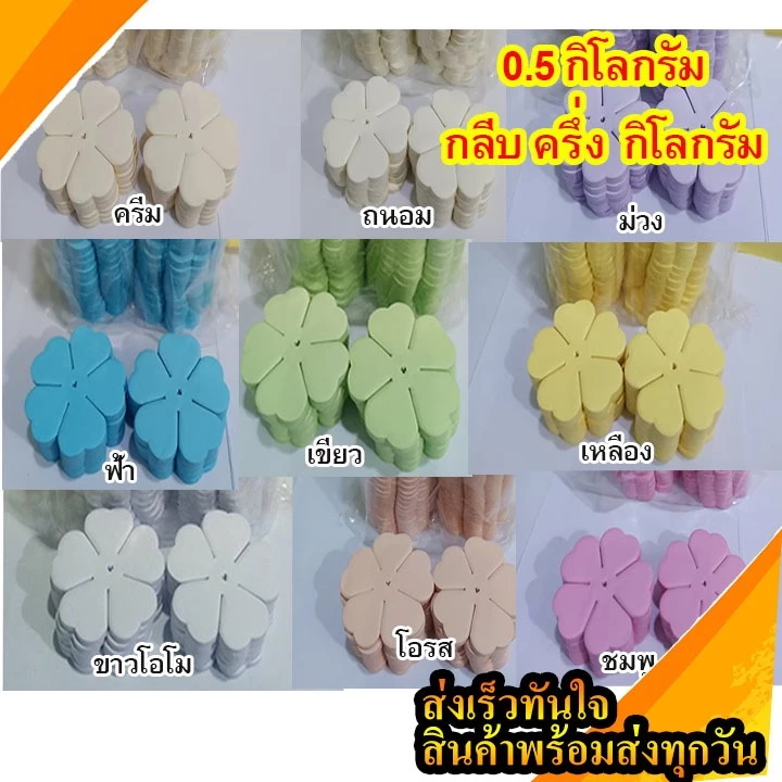 กุหลาบทิพย์ ขนาด 7 ซ.ม.