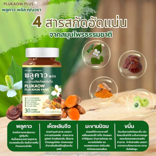 (โปรเดือน 8.8.) ส่งฟรี(1แถม1) Plukaow Plus Khun vara พลูคาว พลัส คุณวรา เสริมภูมิคุ้มกัน